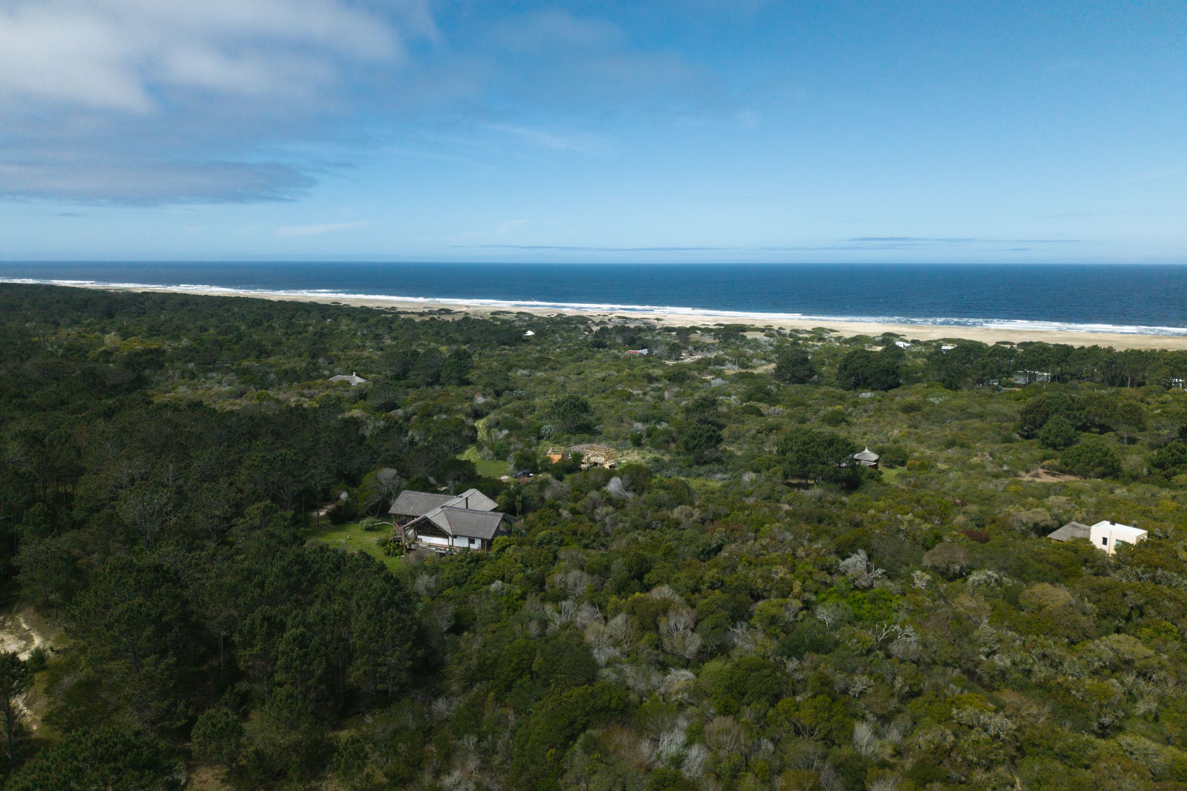 Vista aérea de Casa Fénix entre el bosque, con el océano al fondo